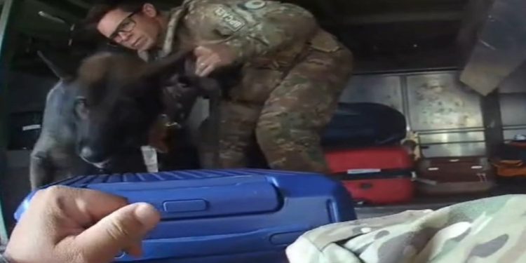 Assassino foragido é preso com droga e faca em rodoviária rumo a SP. Veja vídeo