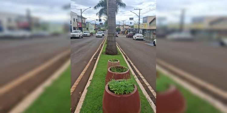 Pé de maconha é plantado em vaso ornamental e exposto no meio da rua