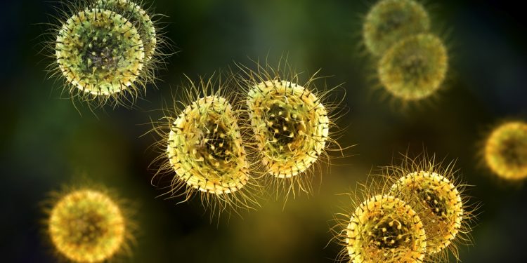 Surto de meningite deixa mortos e mobiliza autoridades no Reino Unido