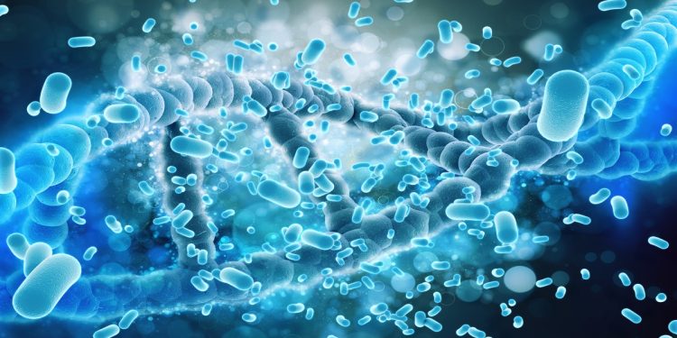 Microbiota intestinal: o exército invisível no tratamento do câncer