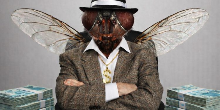 “Moscão”, o maior agiota de Brazlândia, é denunciado pelo MPDFT