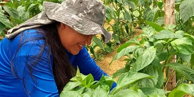 Projeto oferece 100 vagas de capacitação às mulheres do campo