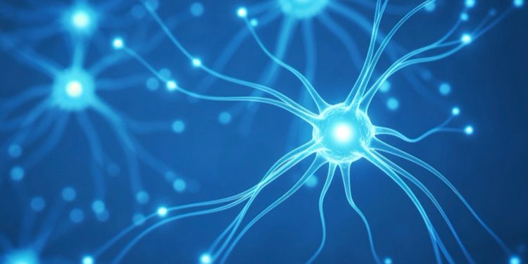 Estudo da USP indica genes que podem prever complicações da hepatite