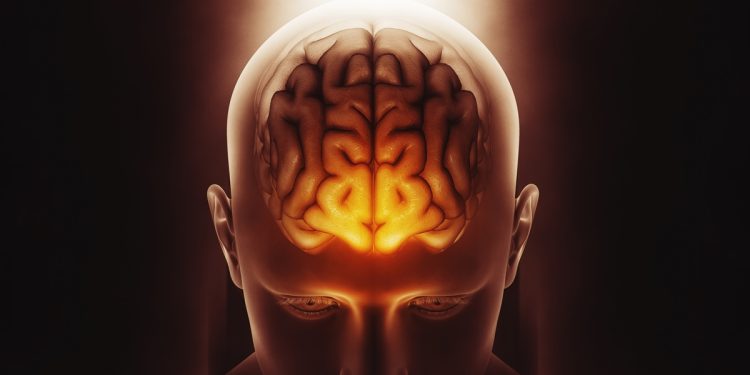 Molécula NAD+ pode ajudar a retardar envelhecimento, dizem cientistas