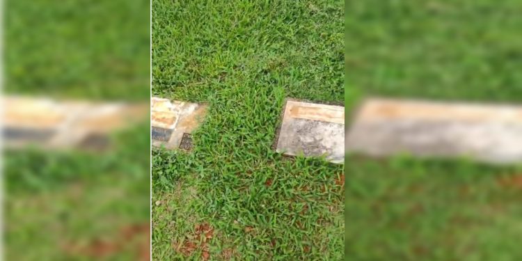 Placas de túmulos são furtadas em cemitério do DF e polícia investiga. Veja vídeo