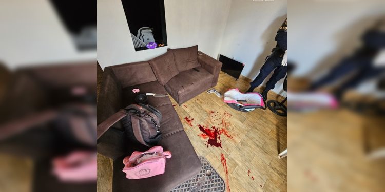 Homem tenta matar companheira esfaqueada e acaba preso no DF