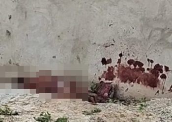 Homem em fúria mata desafeto e alega: “Filmou minha mulher no banho”