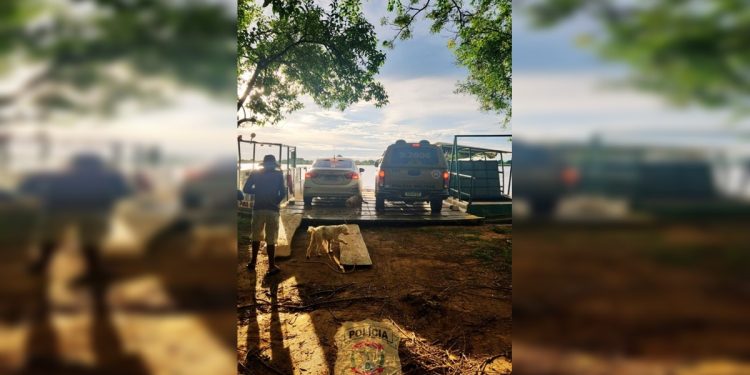 Condenado por estupro no DF é preso na Bahia após operação policial