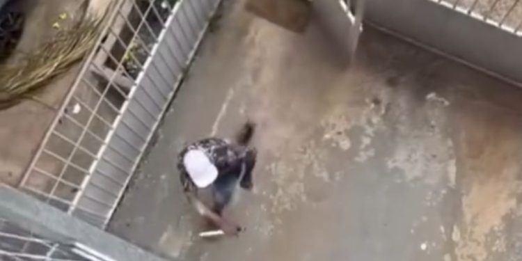 Ladrão invade apartamento com faca, é atacado por morador e preso. Veja vídeo