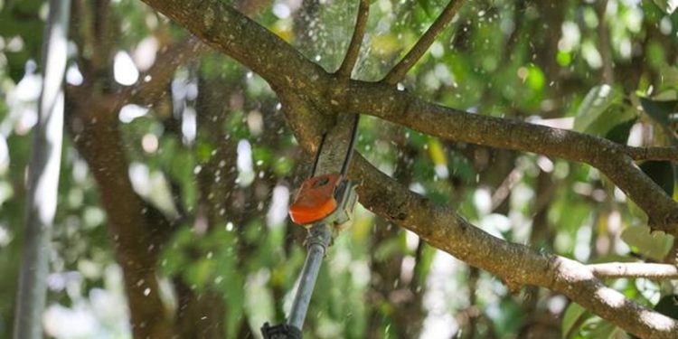 Endereços de Planaltina ficam 6 horas sem energia nesta terça (28/4)