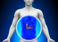 Gastroenterologista lista os principais sintomas da pancreatite