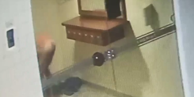 Ladrão invade imóvel na Asa Sul, fica pelado e foge após moradora gritar