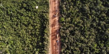Asfaltamento da BR-319, o primeiro atropelo da ‘lei da devastação’