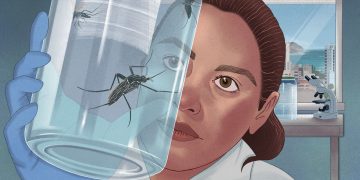 Enquanto casos aumentam no mundo, América do Sul avança no combate à dengue