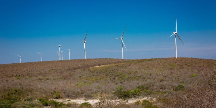 Mário Araripe: a fortuna do senhor dos ventos vem dos territórios do semiárido