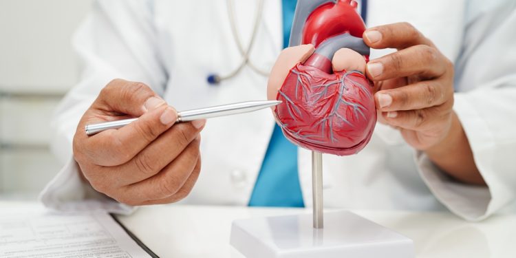 Síndrome CKM pode estar ligada a maior risco de câncer, aponta estudo