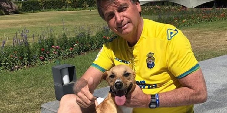 PMs são mordidos por cão caramelo de Bolsonaro durante guarda de prisão domiciliar