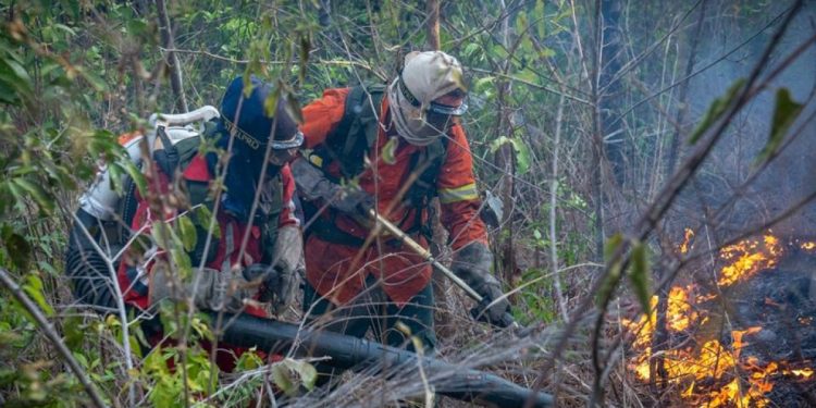 Empresas de irmãos são alvo da PCDF por fraude em certificados de brigadistas