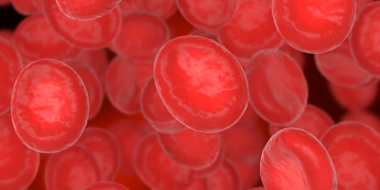 Cientistas ganham prêmio por desenvolver cura para a anemia falciforme