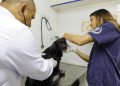 Cães e gatos receberão atendimento veterinário gratuito no Paranoá