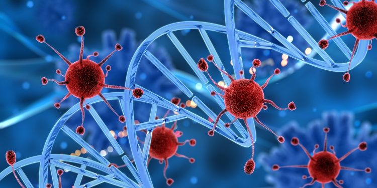 Comer bem pode ajudar a fortalecer o sistema imunológico. Entenda