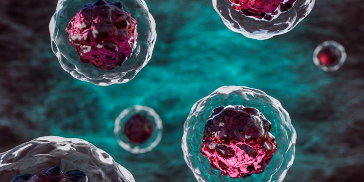 Estudo revela “vento” interno que organiza proteínas nas células