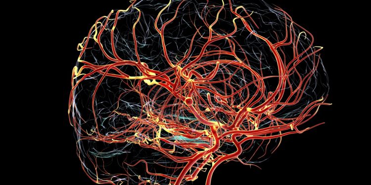 Estudo da Fiocruz investiga mutação genética por trás da epilepsia