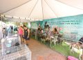 Eixão do Lazer recebe feira de adoção de animais neste domingo