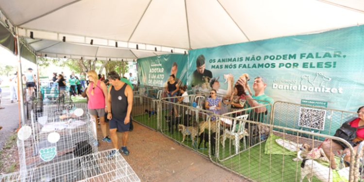 Eixão do Lazer recebe feira de adoção de animais neste domingo