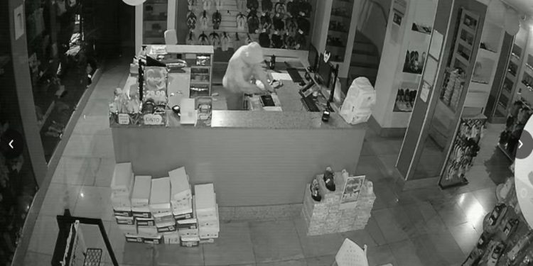 Cadê a polícia? Loja de calçados é furtada 4 vezes em 1 hora no DF. Veja vídeo