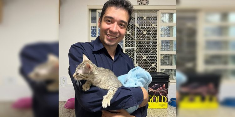 Psicólogo acusado de matar 17 gatos é condenado a 9 anos de prisão