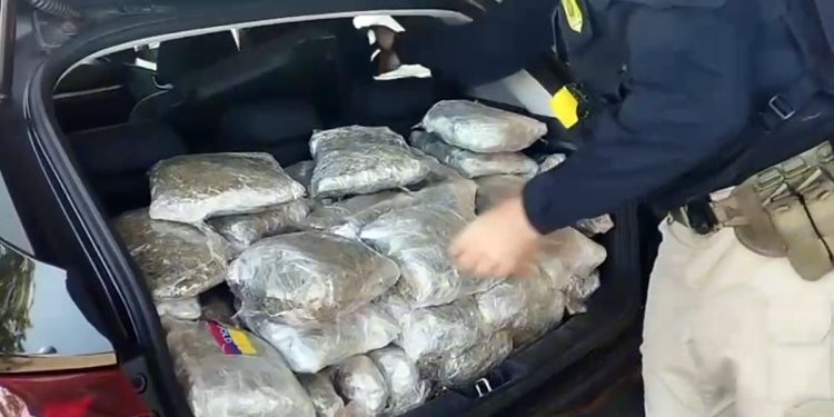 Traficante cruza BR-060 com porta-malas lotado de maconha e é preso. Veja vídeo