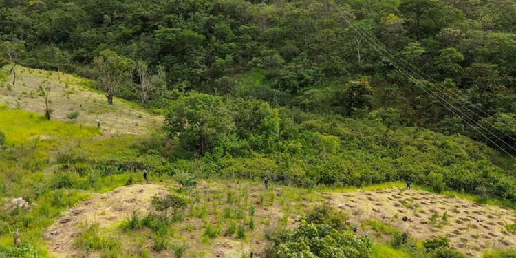 GDF autoriza criação de parque distrital em área da Serrinha do Paranoá