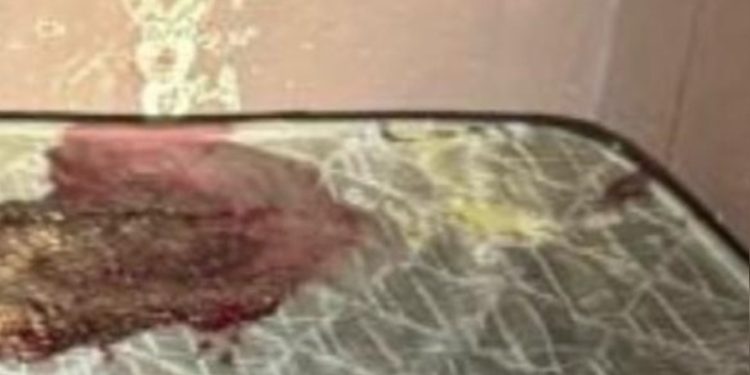 Tiroteio no Entorno do DF: dois homens morrem e um é baleado