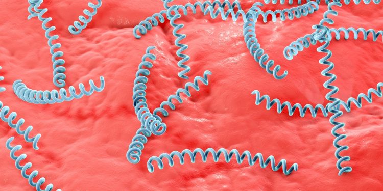 Sífilis: infectologista lista principais sintomas e riscos da doença