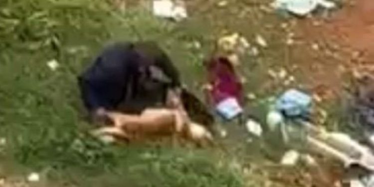 Casal é filmado tirando corpo de cachorro de carro e abandonando no lixo