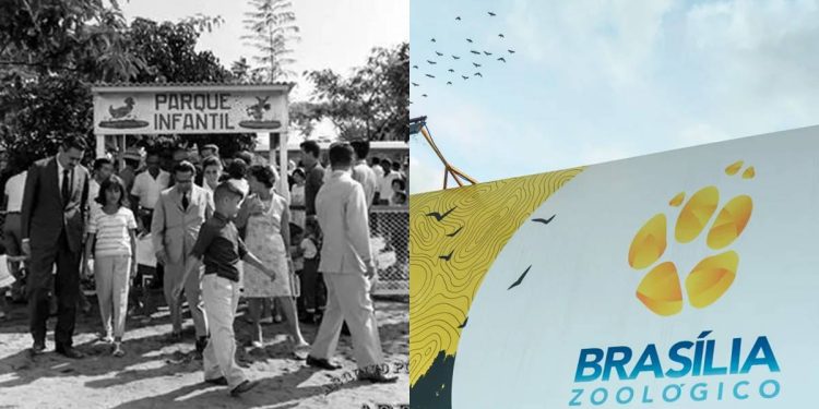 Aniversário de Brasília: Zoológico nasceu antes mesmo da capital