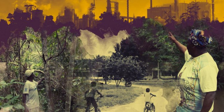 Família Feffer: eucalipto dá lucro a Suzano em meio a disputa de terra com quilombolas