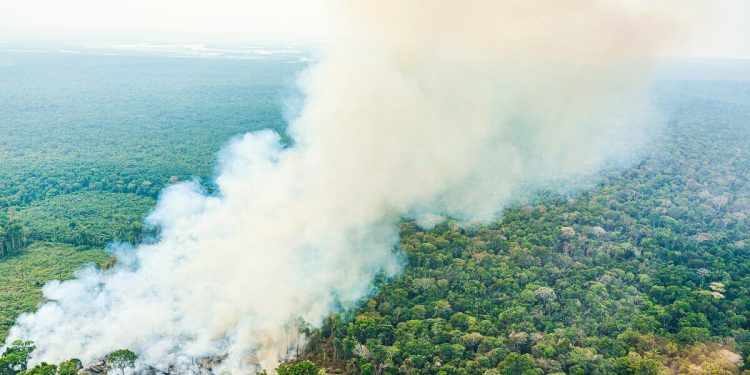 Cientistas entendem melhor como Amazônia atinge ponto de não retorno, e quadro preocupa