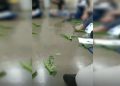 “Magia afro” em aula: TJDFT manda deputado se retratar, mas derruba indenização