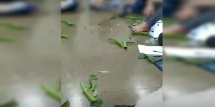 “Magia afro” em aula: TJDFT manda deputado se retratar, mas derruba indenização