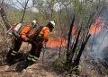 GDF autoriza seleção para contratar 150 brigadistas florestais