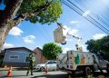Duas regiões do DF ficam sem energia nesta quinta (14/5). Veja quais