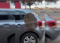 Inusitado: motorista encontra enxame de abelhas “grudado” em carro. Veja vídeo