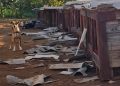 “Destruíram nosso cãodomínio”: abrigo com 60 cães é destruído no DF. Veja vídeo