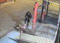 Adolescente foge após agredir homem desacordado com “pisões” na cabeça. Veja vídeo