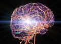 O cérebro avisa que vamos adoecer? Saiba o que acontece durante o sono