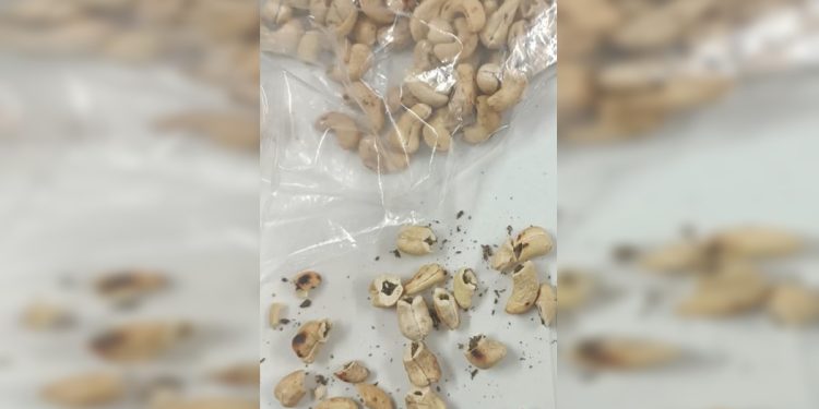 “Castonhas”: mulher tenta levar droga em castanhas a presídio do DF. Veja vídeo