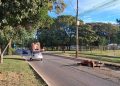 Cavalo morre após ser atropelado por carro em via do DF
