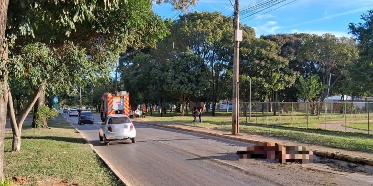 Cavalo morre após ser atropelado por carro em via do DF